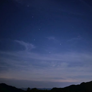 搜索特黄小视频
