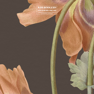 搜索特黄小视频
